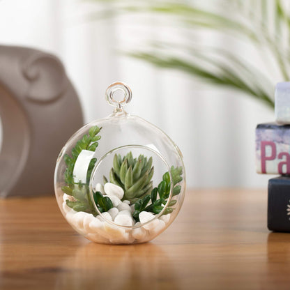 WGV Hanging Terrarium Globe, Width 4", Height 4.75", DIY Air Succulent Planter, Clear Glass Vase Orb with Flat Bottom, Candle Holder for Windowsill Outdoor Garden Decor, 3 Pieces Bulk
