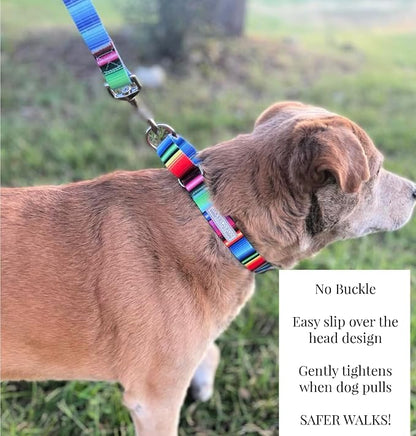 Lucky Love Dog Martingale Dog Collar - Adjustable, No-Slip, Durable, & Soft Webbing Collar for Male and Female Dogs Ideal for Training & Walking - Nacho, Large