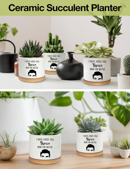 PWHINGN I Have Asked You Thrice Now for Water Ceramic Succulent Planter Pot, Funny Plants Pots Schitts Merchandise Gifts, for Women Mom Grandma Plant Lovers Gifts - 3.5 inch(Plant Not Included)