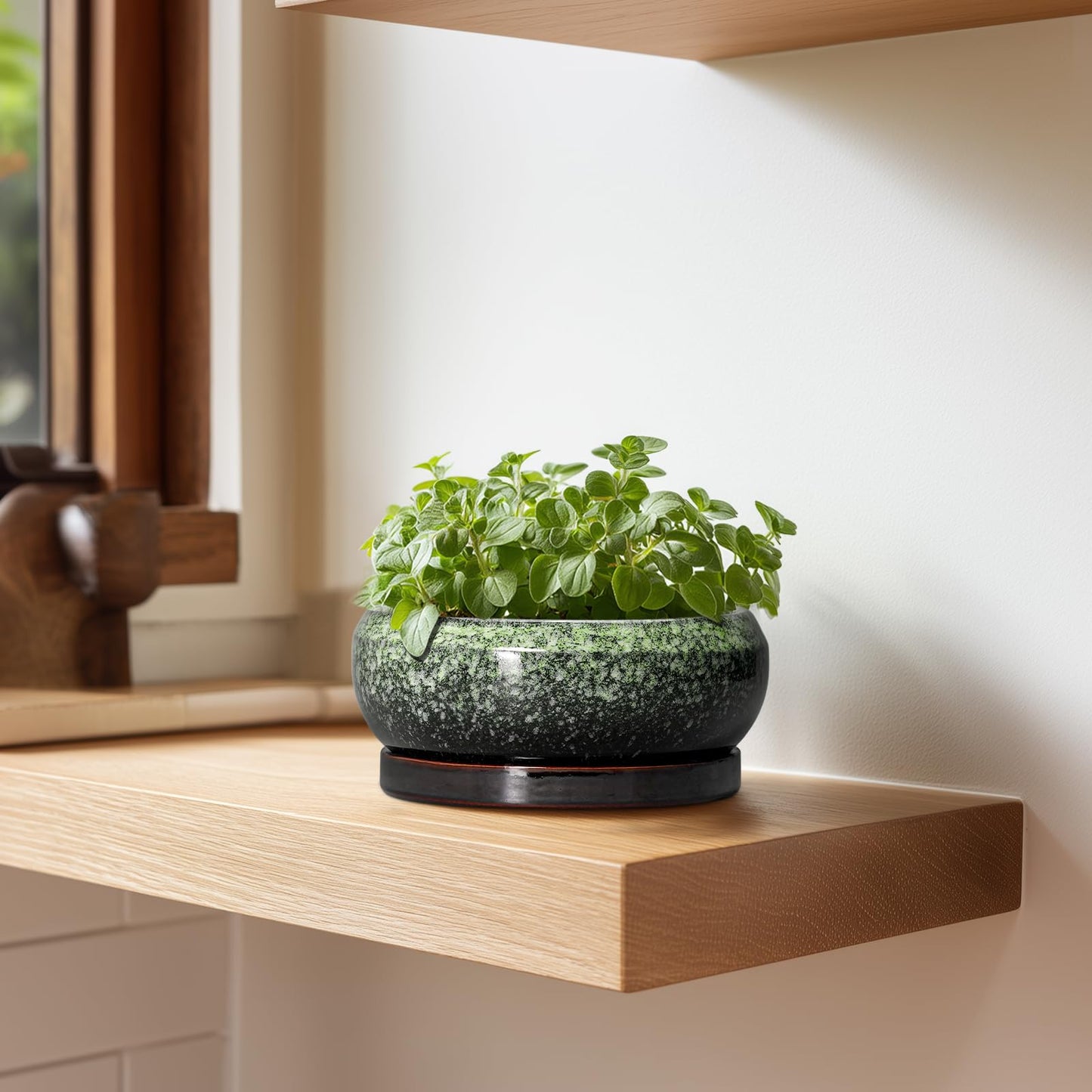 EPFamily Succulent Pots 6 Inch - Ceramic Bonsai Pots with Drainage Hole and Saucer, Succulent Planters for Indoor Outdoor, Small Shallow Planter, Round Cactus Pot, Room Decor, Plant Lover Gift, Green