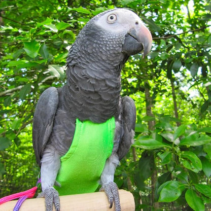 Avian Fashions FeatherWear FlightSuit Large(6) Bird Diaper in Lime Green