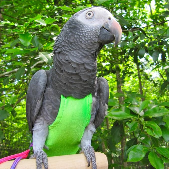 Avian Fashions FeatherWear FlightSuit Colossal(15) Bird Diaper in Lime Green