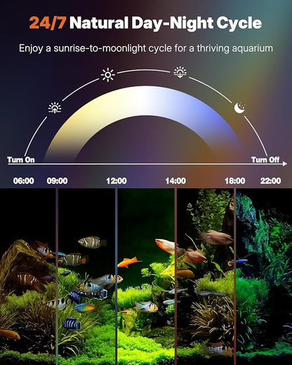 Pawfly 8 W Aquarium LED Light 8.2 Inch 24/7 Fish Tank Light with Full Spectrum Brilliant White Blue Red Green Lights Multi-Colored LEDs with D/N Mode Single Color Effects Timer & Adjustable Brightness