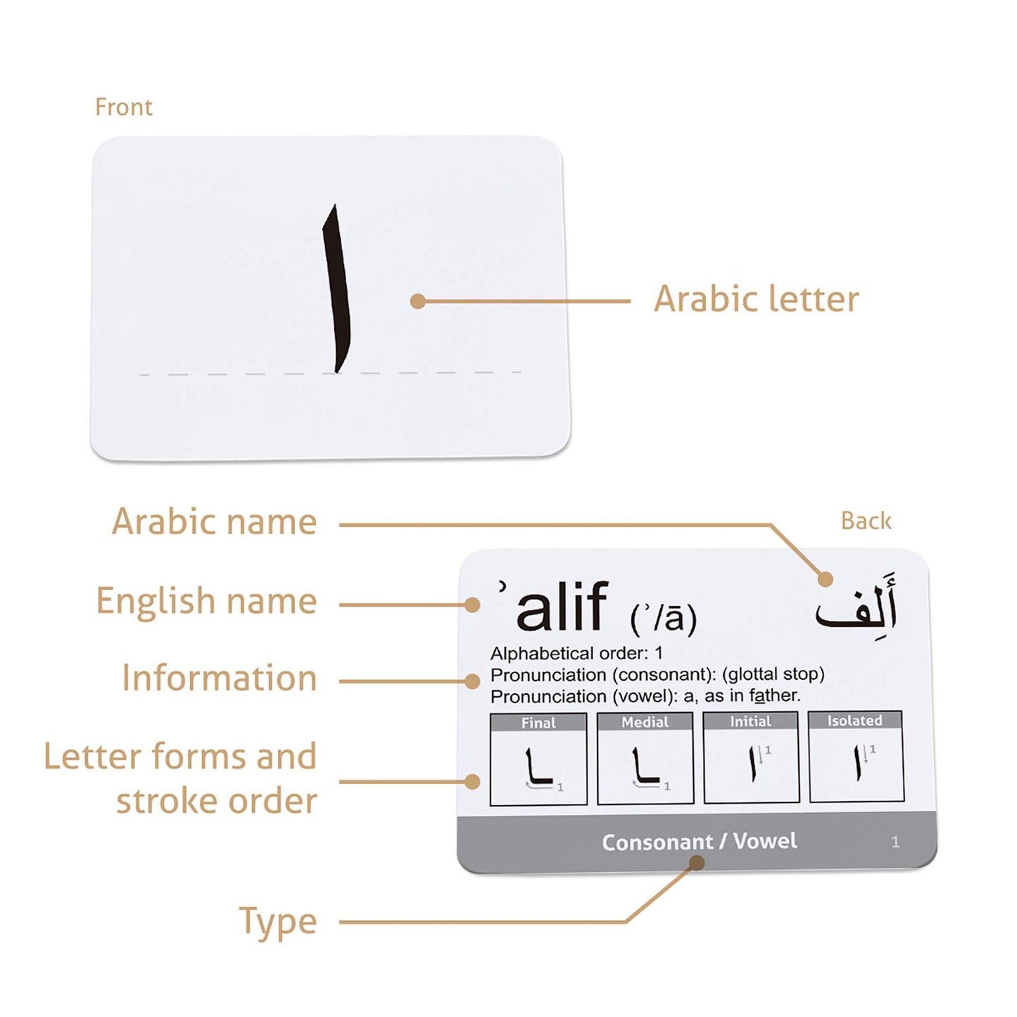 CARDDIA | Arabic Alphabet Educational Flashcards | Includes Consonants, Vowels, Diacritics and Numerals | Ideal for Arabic Language Beginners