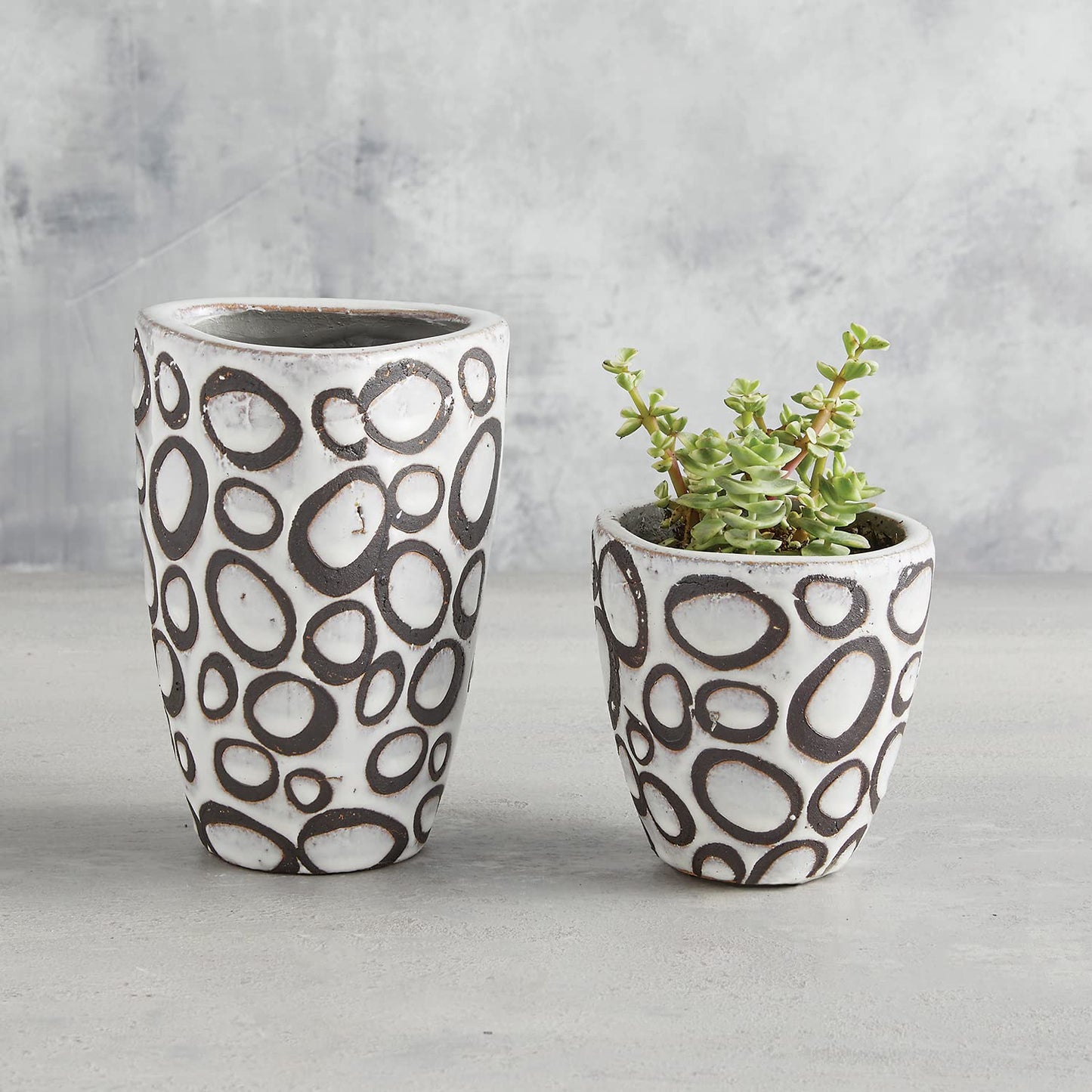 47th & Main Modern Textured Brown and White Glazed Terracotta Planter Pot Vase for Flowers Succulents Small Plants and More, Large, Circles