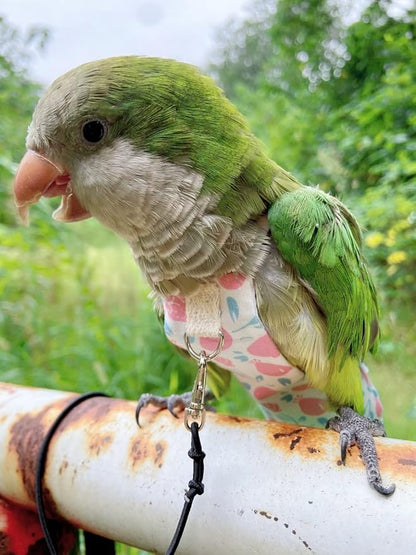 Bird Diaper Harness Flight Suit Clothes, Parrot Flight Suit with Leash, Bird Flying Clothes with Rope and Handle for Outdoor Activities Training (Pink Without Leash,Medium)