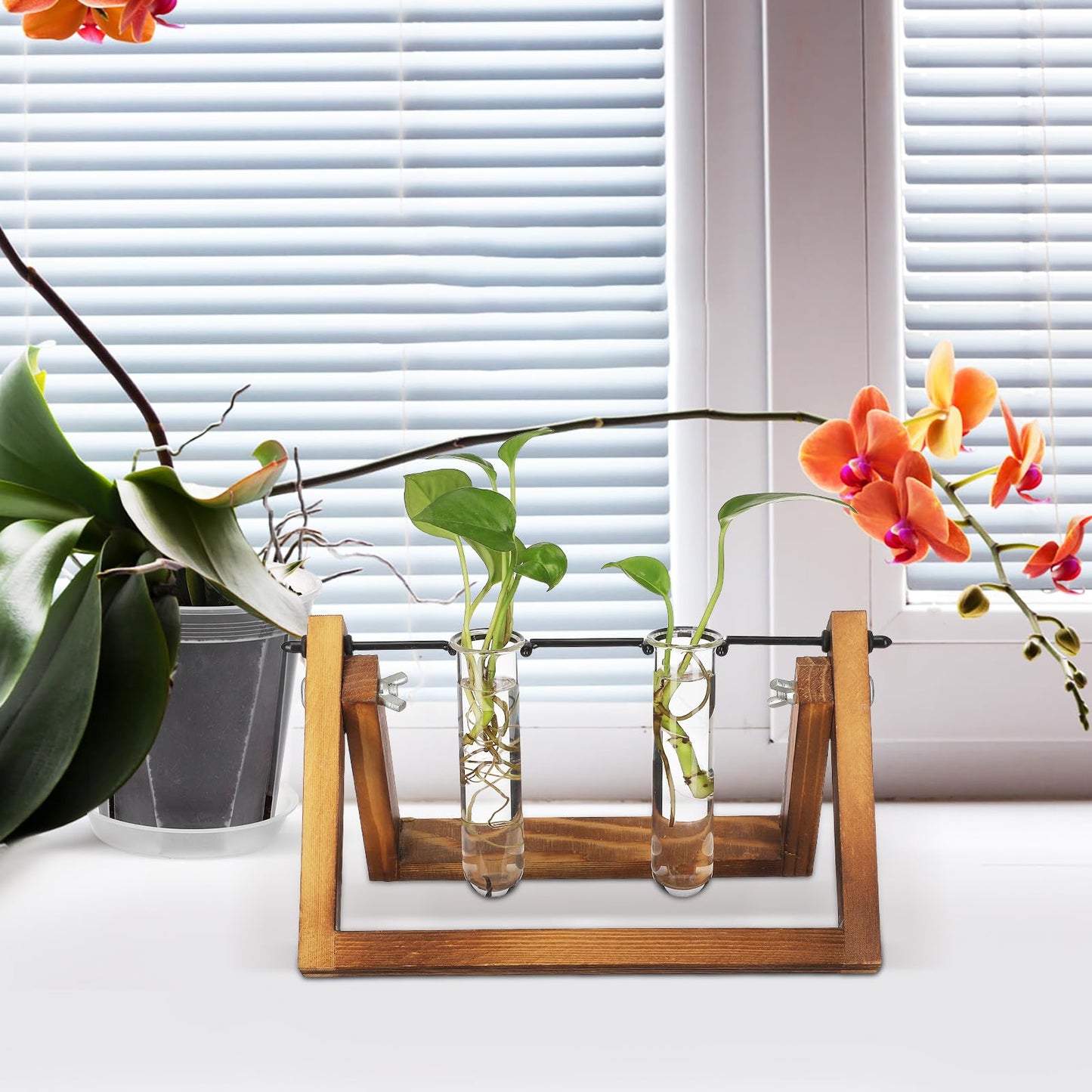 SOLUSTRE 5pcs Glass Test Tube Plant Propagation Vase Set 2.5x3x11cm Floral Tubes Hydroponic Water Culture Station for Small Terrarium Plants and Home Décor