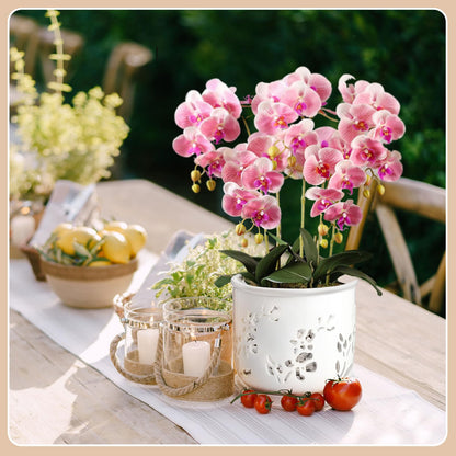 FoldTier 2 Pack 6.5 Inch Large Orchid Pot with Holes and Saucer for Root Health with Precise Aeration and Drainage, Ceramic Orchid Planter Pot for Repotting or New Plants Indoor Outdoor Use(White)