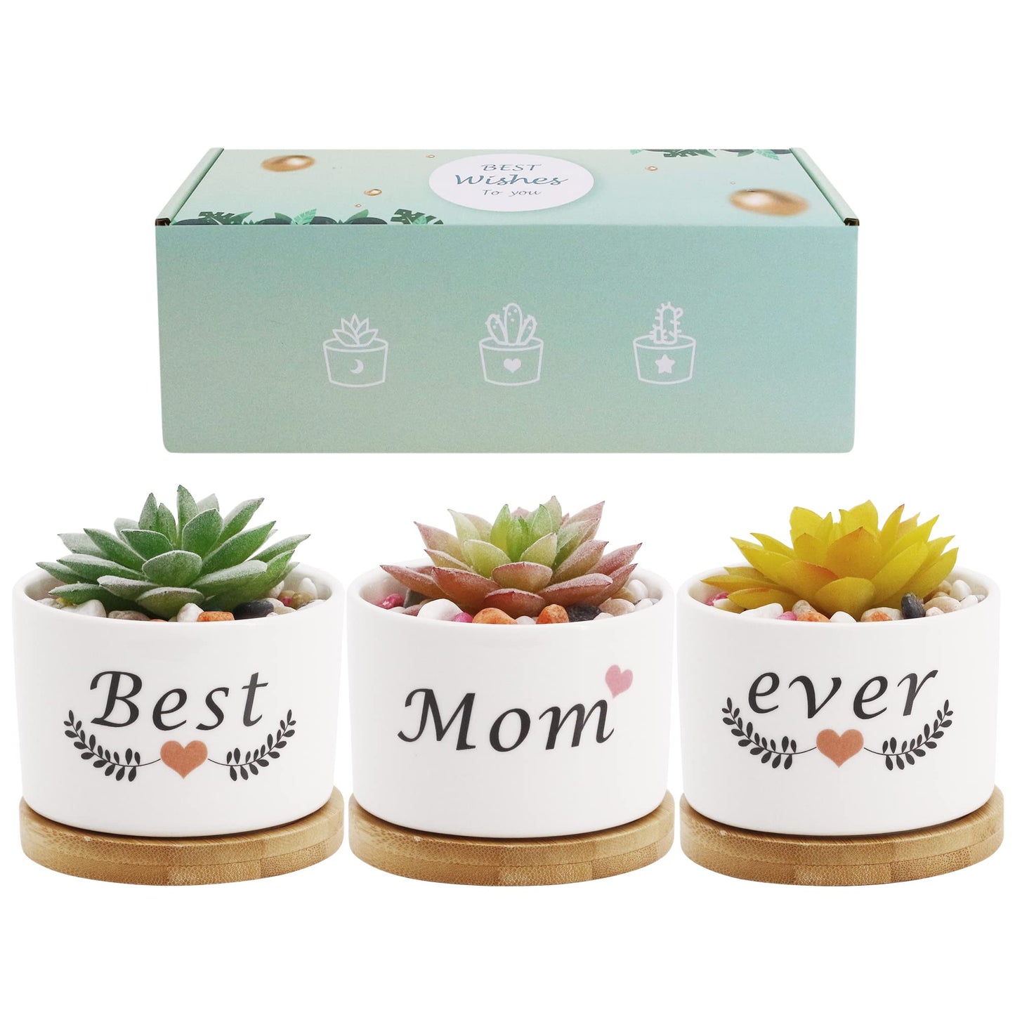 Segreto Creative Plants Pots White Ceramic Vase Planter for Flower Sedum Succulent Plants Desk Garden Room Pot Decor,Pack of 3,Gift Boxed for Mom Friends