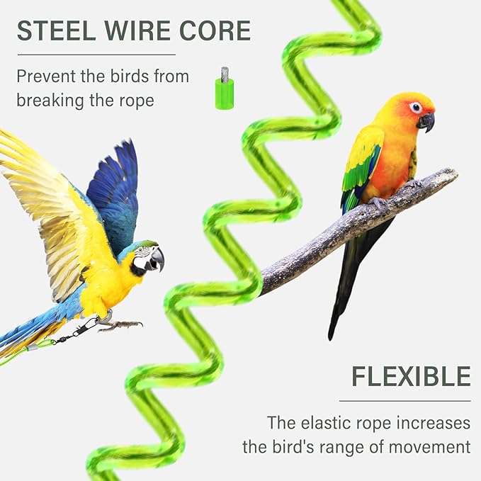 Parrot Flying Leash, 16.4 ft Training Rope with 3 Size Bird Foot Ring, Anti-Bite Elastic String for Cockatiels, Birds, Pigeon (Green)