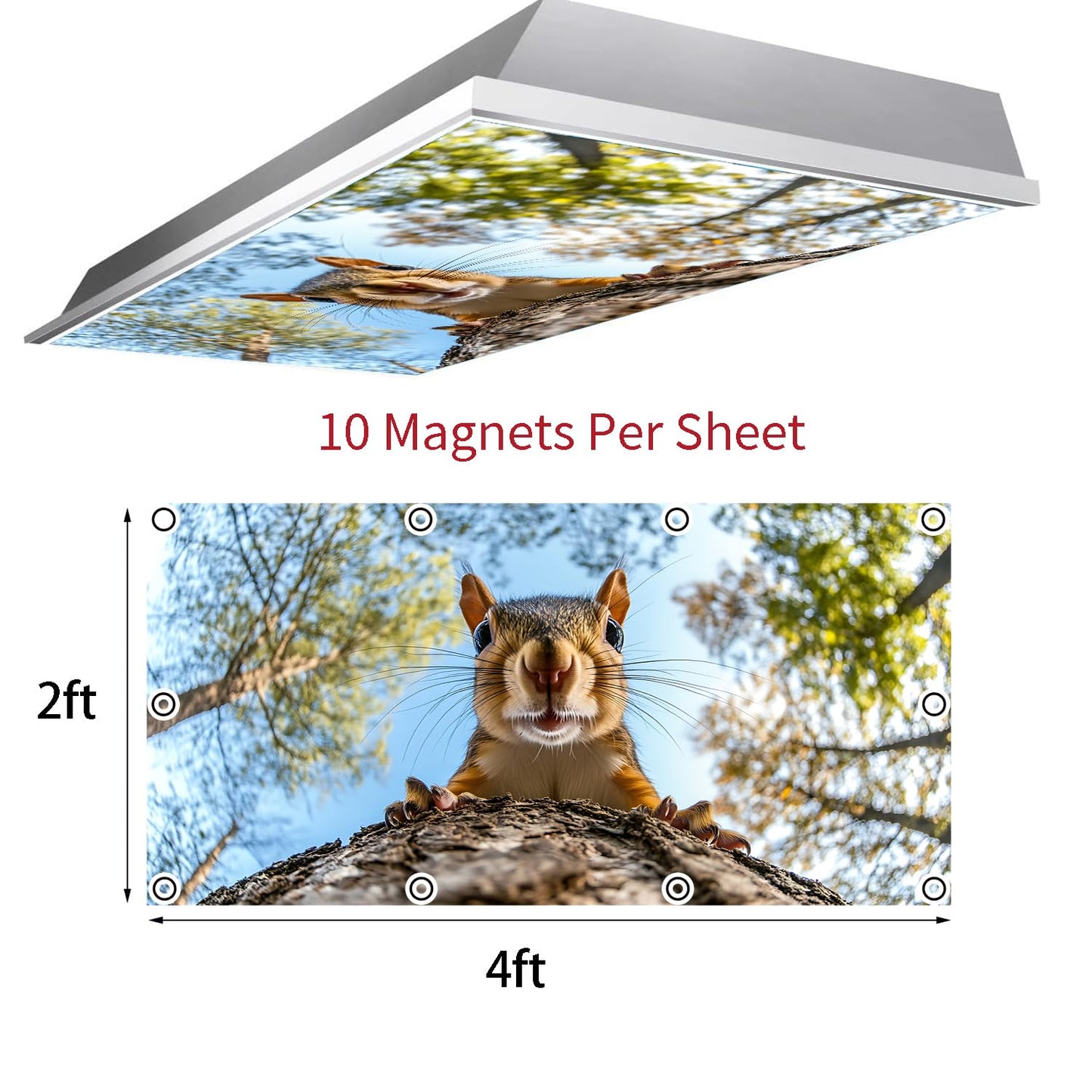 Fluorescent Light Covers for Ceiling Lights-Magnetic,2pcs,Geometric & Stained Glass Designs for Ceiling Lights 2ft x 4ft-For Classroom, Office，Home (Forest Squirrel, 48"L x 24"W-2pcs)