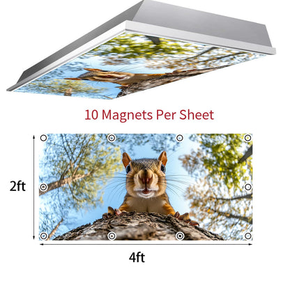 Fluorescent Light Covers for Ceiling Lights-Magnetic,2pcs,Geometric & Stained Glass Designs for Ceiling Lights 2ft x 4ft-For Classroom, Office，Home (Forest Squirrel, 48"L x 24"W-2pcs)