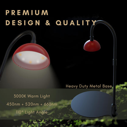 BoostGro Desktop Grow Lamp Terrarium Light Plant Light on Table with Flexible Gooseneck Lamp for Terrarium Kitchen Vetegable Succulent Lamp with Auto Timer 3/6/12Hrs, 4 Brightness Levels (Red)