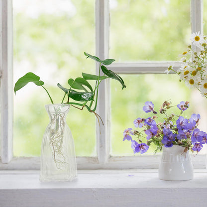 ORFOFE 4pcs Hydroponic Glass Flower Vases Small Decorative Terrarium Bottles for Home Desk Office Plant Propagation