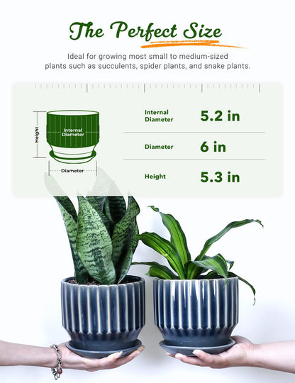 AISBUGUR Plant Pots 6 inch Ceramic Pots for Indoor Plants Set of 2 Flower Pots Unique Crackle Glaze Design Plant Pots with Drainage Hole and Saucer Come with Drainage Nets (Grey)