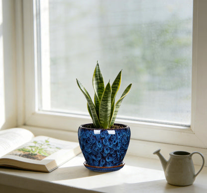 Hollyone Ceramic Planter Blue Ceramic Plant Pot for Plants Flowers 5.5 inch with Drainage Hole and Saucers Ceramic Glaze Round Flower Plant Pot for Indoor Outdoor Round Succulent Orchid Flower Pot