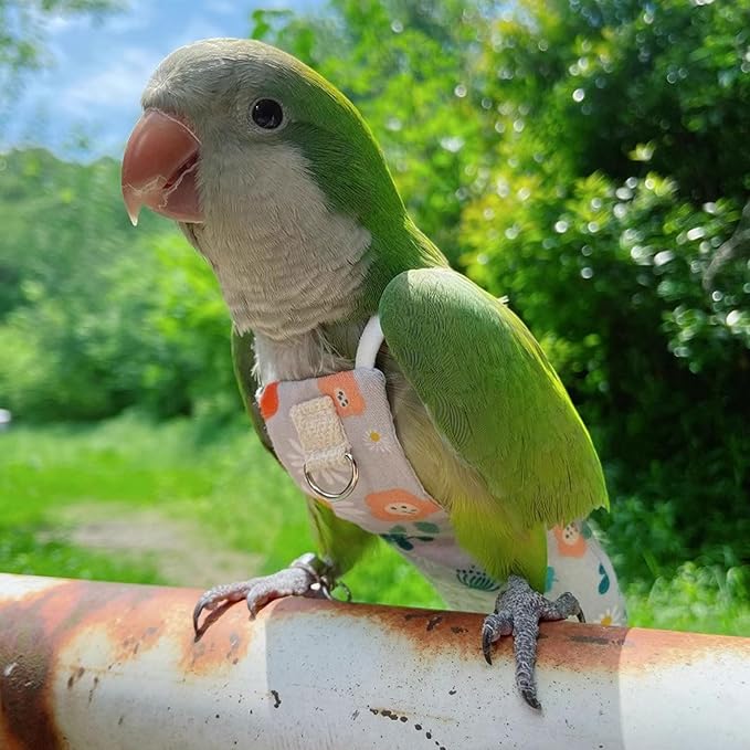 Snap-Closure Parrot Diaper Flight Suit for Cockatiels, Lovebirds & Medium Birds Cotton Washable Escape-Proof Harness with Leash Set(Golden Sun Model)