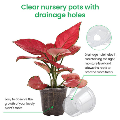 Bluepro 30 Packs 7/5/4 Inch Reinforced Clear Nursery Pots with Drainage Hole, Transparent Variety Pack Plastic Plant Pot Seedling Planter for Vegetable Propagation, Root Cutting, Seed Starting