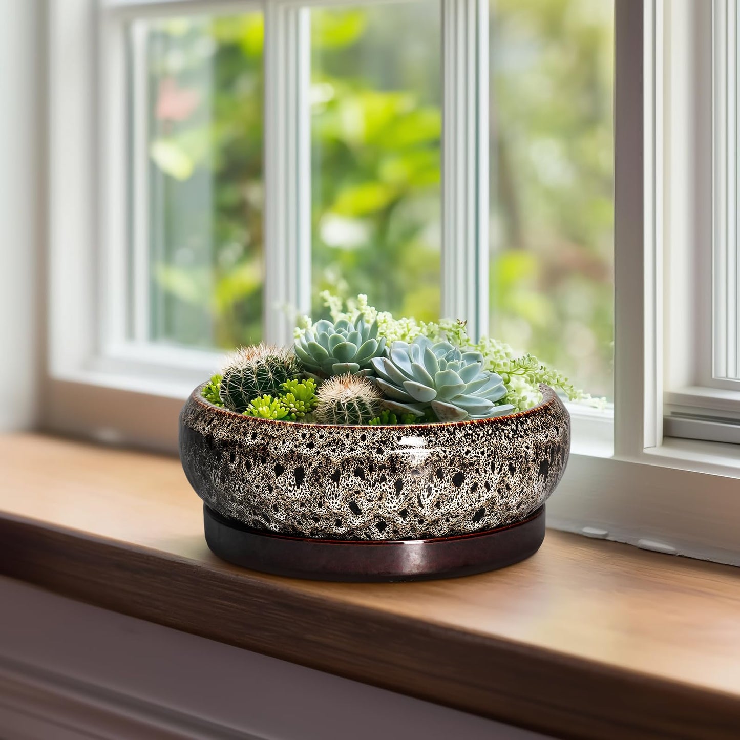 EPFamily Bonsai Pots - 8 Inch Ceramic Pots for Plants with Drainage Hole and Saucer, Round Succulent Pot, Bonsai Planters Indoor Outdoor, Shallow Planter Bowl, Patio Decor, Gardening Gift, White