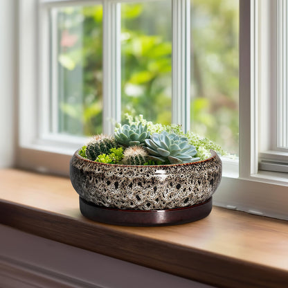 EPFamily Bonsai Pots - 8 Inch Ceramic Pots for Plants with Drainage Hole and Saucer, Round Succulent Pot, Bonsai Planters Indoor Outdoor, Shallow Planter Bowl, Patio Decor, Gardening Gift, White
