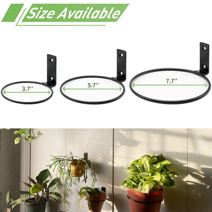 Greemov 6 Pack 4 Inch Wall Flower Pot Holder Ring Plant Hanger, Metal Planter Hooks Wall Mounted Bracket Heavy Duty for Outdoor Indoor