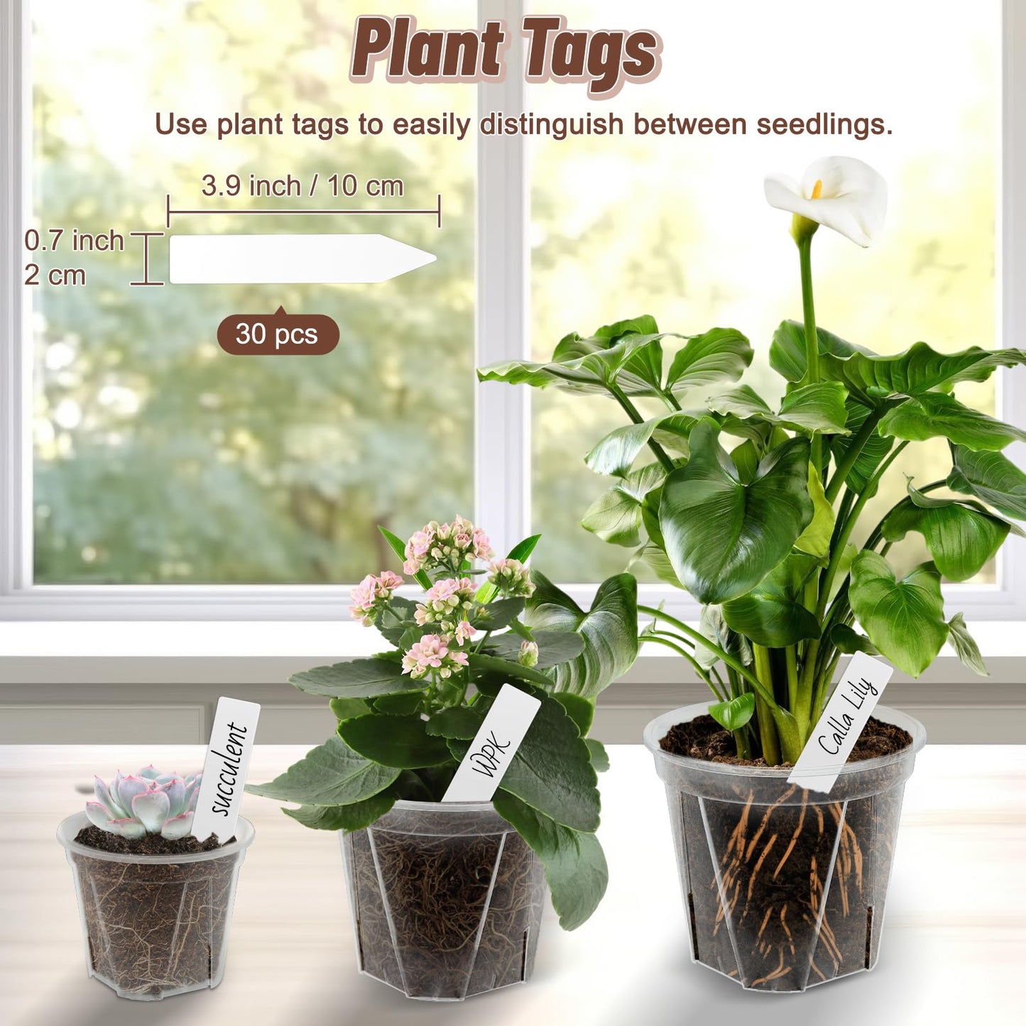 VIOBEPASS Clear Nursery Pots with Drainage, 40 Pack Transparent Plastic Orchid Planters, 3 Sizes Plant Pots 6/5/4 Inch with 40 Plant Labels for Seedlings, Succulents, Indoor/Outdoor Repotting