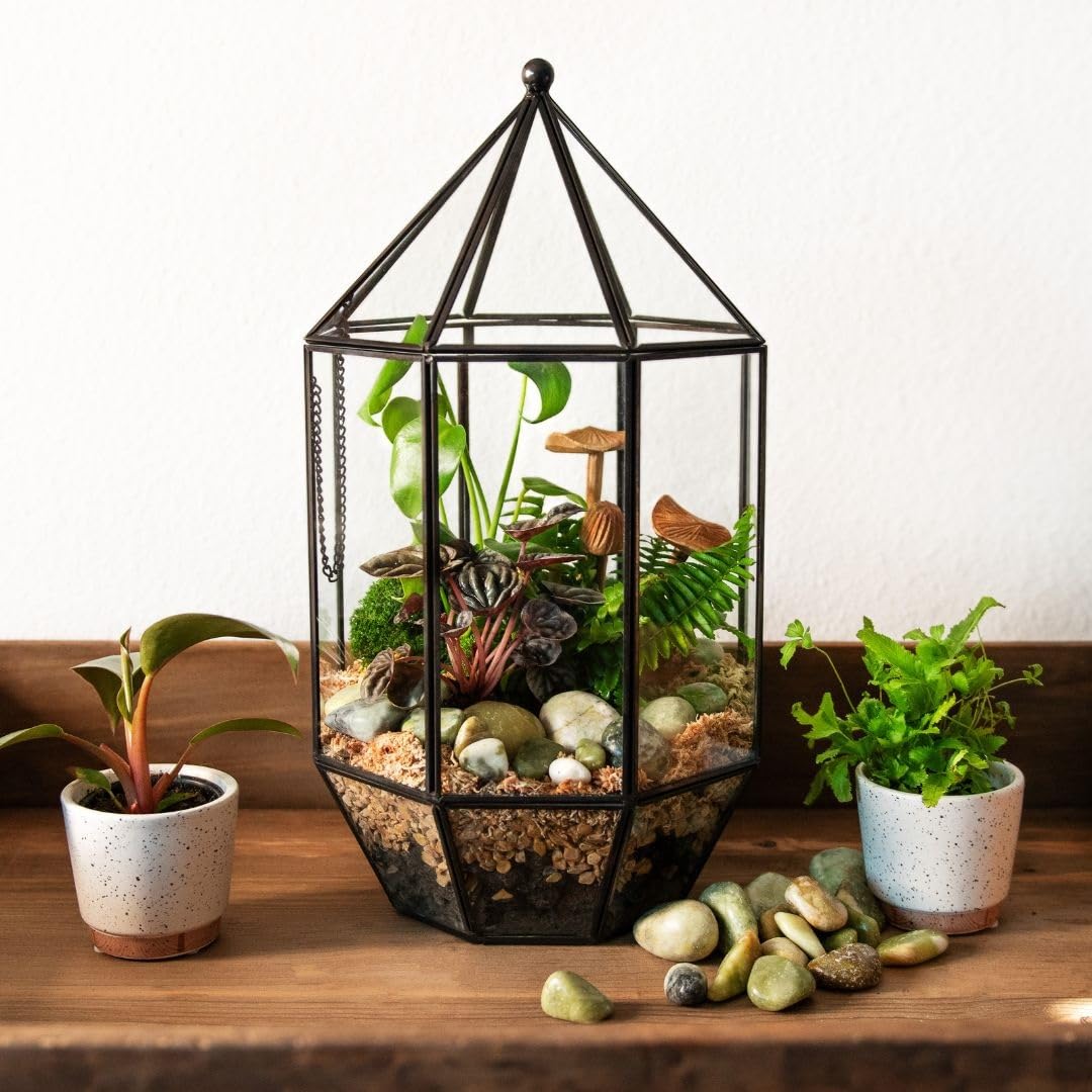 SuperMoss (90405) Glass Terrarium – Elegant Indoor Gardening Décor, Ideal Gifts for Plant Lovers, Modern Home & Office Decoration, 7.5” x 7.5” x 14”, Greenhouse