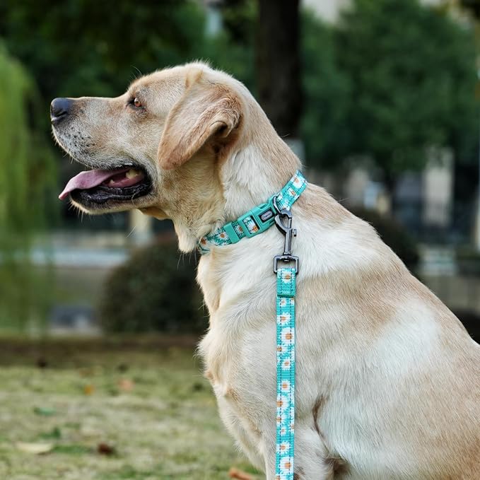 Dog Collar Leash Set, Floral Pattern, with Safety Reflective Strips, 5 ft Matching Leash, Neoprene Padded Handle, Adjustable 4 Sizes for Small Medium Large Dogs.(M, Green Daisy)