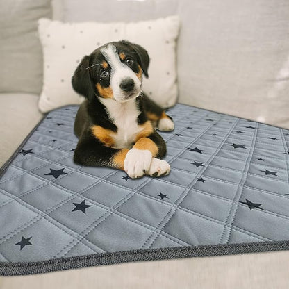 RIOUSSI Washable Pee Pads for Dogs, Reusable, Absorbent, Leakproof, Non Slip Pet Puppy Pads for Potty Training. Gray Stars, 31x36 Inch(4pack)