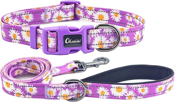 Dog Collar Leash Set, Floral Pattern, with Safety Reflective Strips, 5 ft Matching Leash, Neoprene Padded Handle, Adjustable 4 Sizes for Small Medium Large Dogs.(M, Purple Daisy)