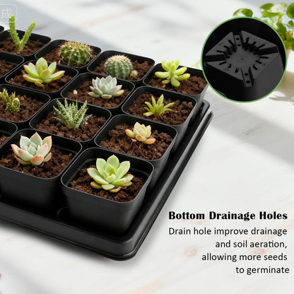RooTrimmer 5 Pack 24 Cell Nursery Pots Trays with 2.8 inch (7CM) Square Nursery Pots 120pcs (Black), Plastic Seed Starter Tray with Drain Holes for Carrying and Holding Plant Pot(17"x11"x1.6")