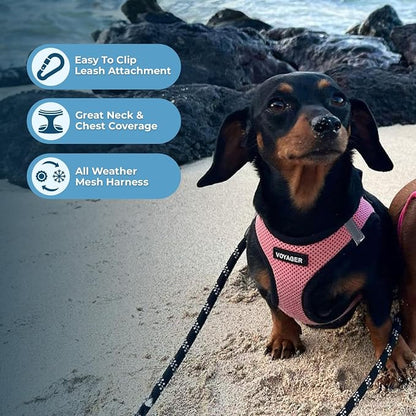Best Pet Supplies Voyager Step-in Air All Weather Mesh Harness and Reflective Dog 5ft Leash Combo with Neoprene Handle, for Small, Medium and Large Breed Puppies - Pink Base, X-Large