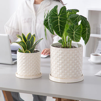 Chubacoo 6 Inch Plant Pot: Ceramic Planter with Drainage Hole & Saucer Indoor Outdoor Plants - Cylinder Round Flower Pot for Home Office - Modern Decorative - Small White