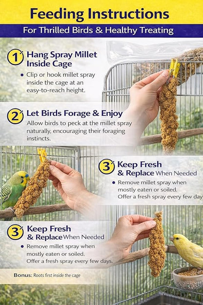 Farm to Feathers™ Bird Millet & Cuttlebone Bundle – USA Grown Millet Sprays for Parakeets, Budgies, Cockatiels, Finches & Canaries – 1 lb Tips and Tails Millet + 4” Cuttlebone (4 Pack)