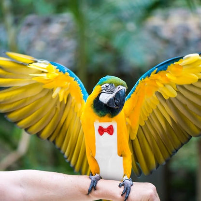 Generic Bird Diaper for Parrots Reusable and Washable Flight Suit for Outdoor Use Breathable Bird Clothes for Cockatiels and Parakeets
