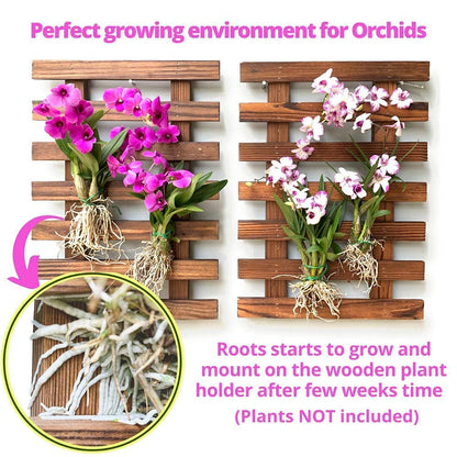 LalaGreen Bundle - 5" Pot + 2 Wooden Plant Holder, White Self Watering Pot, Wall Hanging Planters for Indoor and outdoor,Wall Mount Air Plants Succulent Holder Hanger,Vertical Garden Plant Stand Decor