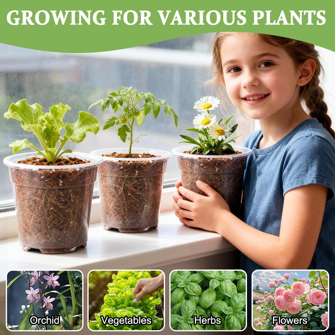 RooTrimmer 60 Pack 6 Inch Clear Nursery Pots for Plants, Flexible Plastic Plant Pots with Drainage Holes, Transparent Plant Starter Pots for Seedlings, Vegetable, Succulents, Flowers