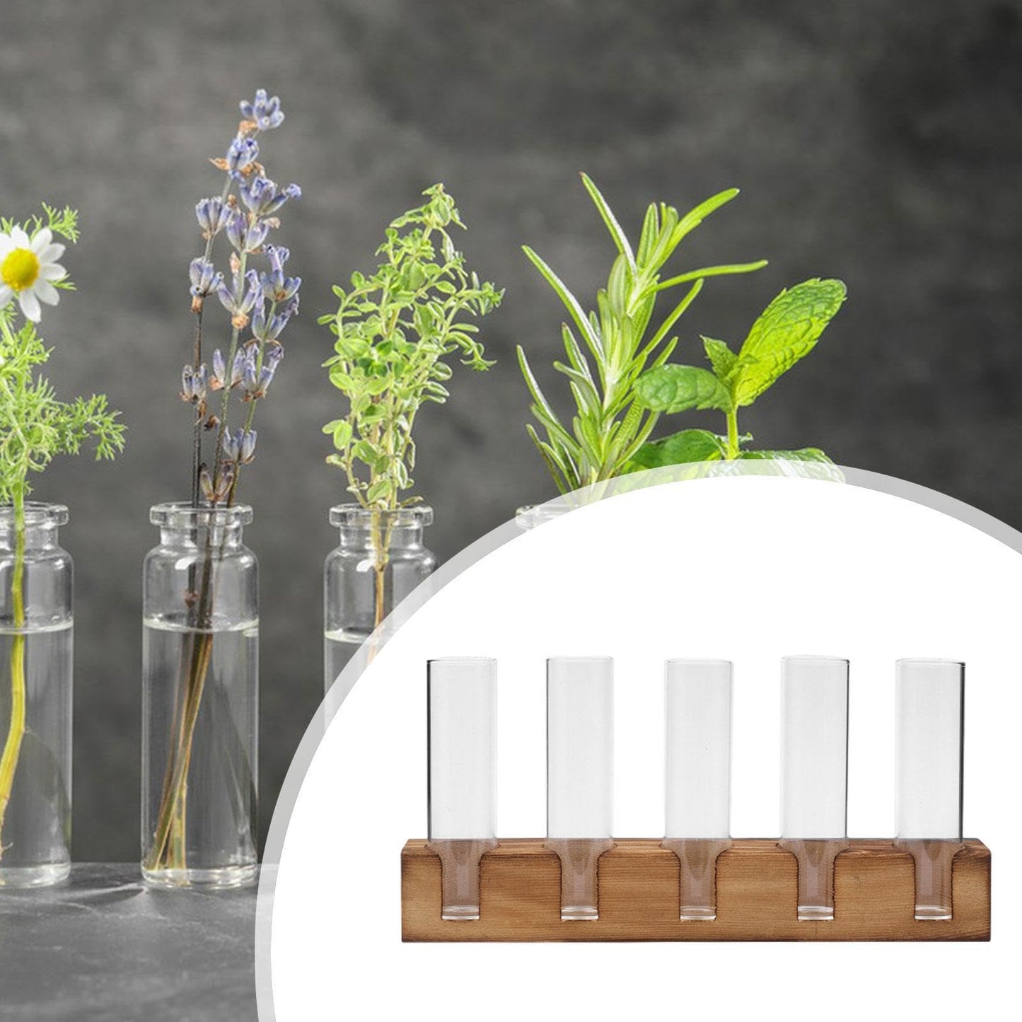 Gcljlmy Plant Terrarium Plant Propagation Station Planter Wooden Base Plants Glass Vase Unique Bud Vase 5 Glass Test Tubes Vase