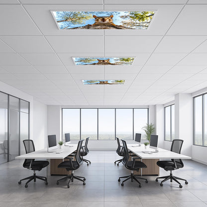 Fluorescent Light Covers for Ceiling Lights-Magnetic,2pcs,Geometric & Stained Glass Designs for Ceiling Lights 2ft x 4ft-For Classroom, Office，Home (Forest Squirrel, 48"L x 24"W-2pcs)