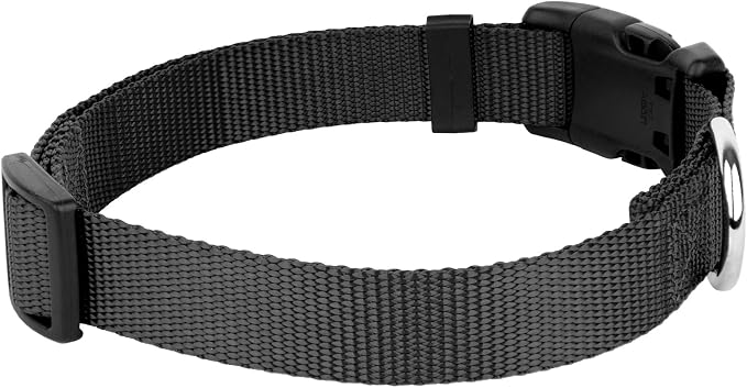 Country Brook Petz - Everyday Nylon Dog Collar and Leash - 10+ Cool Colors (3/8 Inch, 2XS, Black)