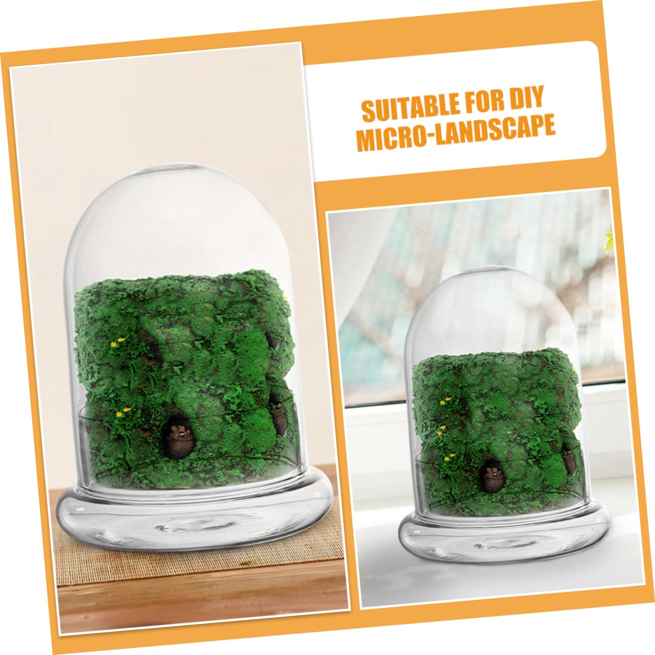 Totority 2pcs Glass Ecological Terrarium Bottle for DIY Micro Landscape Display Decorative Container for Desk Plants and Miniature Gardens