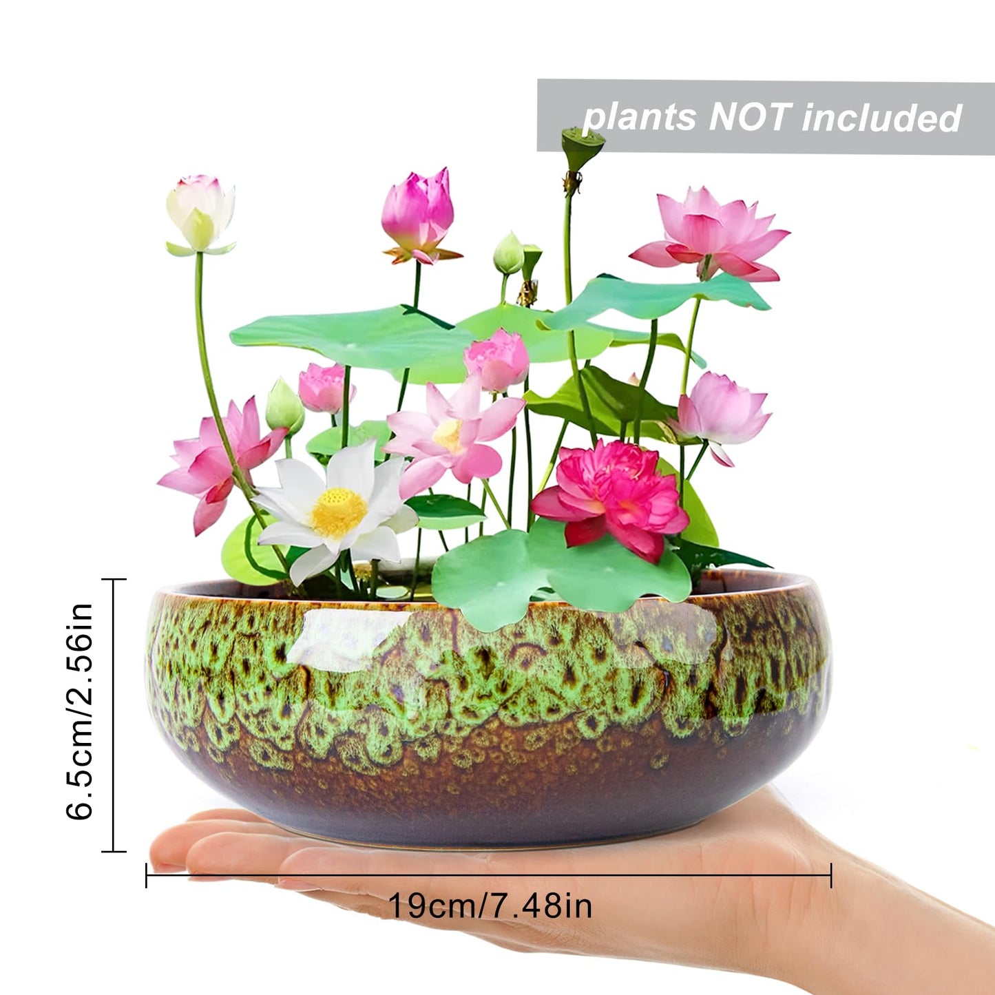 ARTKETTY Lotus Bowl Planter - 8 Inch Large Lotus Flower Bowl for Water Plants, Ceramic Bonsai Bowl for Hydroponic Plant Succulent Plants Indoors Outdoor