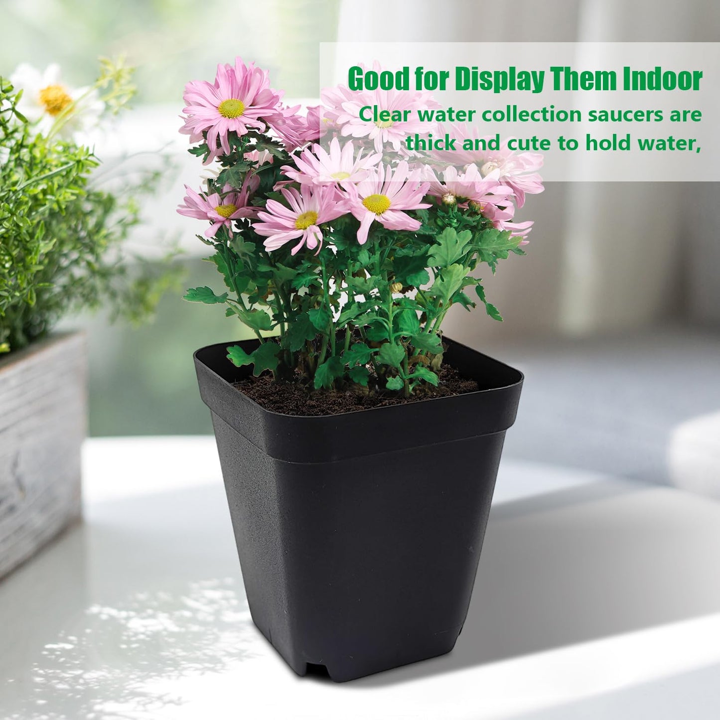 RooTrimmer Square Nursery pots 4 Inches 60Pcs, Seedling Plastic Seeds propogation Growing Pots (Black,4Inches,60Pcs)