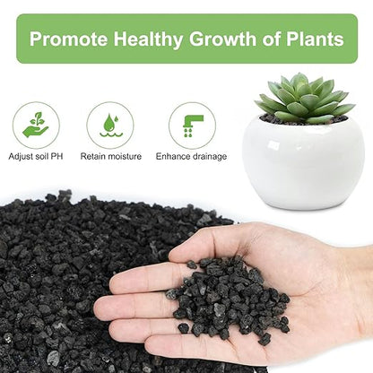 Pulovin 2.5lbs Lava Rocks for Plants, 1/5 Inch Black Gravel for Succulent, Cactus, Bonsai Tree, Pure Volcanic Rocks, Top-Dressing, Good Drainage