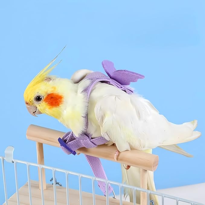 3 Sets Pet Parrot Bird Harness and Leash with Cute Wing, Adjustable Bird Flying Harness Straps Outdoor Training Traction Rope for Parrots Pigeons Lovebird Cockatiel(L,Pink, Yellow&Purple)