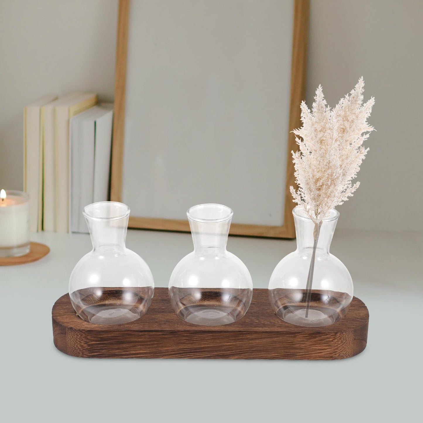 OSOLADY Decorative Glass Plant Vase Set with Wooden Base, Hydroponic Flower Planter for Office and Home Desk, 3pcs Water Cultivation Terrarium Arrangement