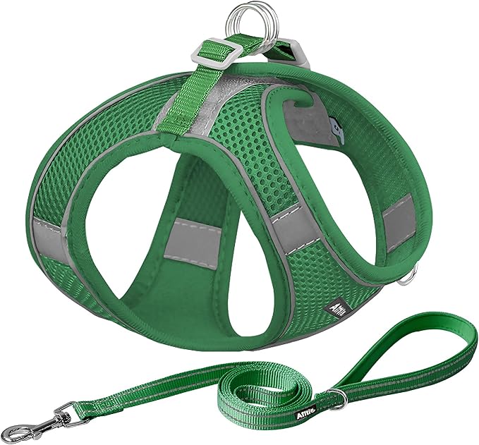 AIITLE Escape Proof Dog Harness - Step in Adjustable Dog Harness No Choke Over with Breathable Mesh and Quick-Release Buckle for All Weather- Outdoor Walking, Training for Medium Dogs Green XL