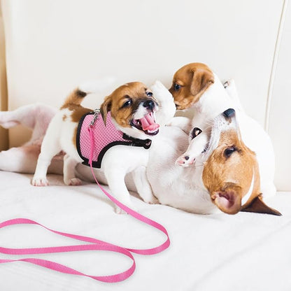 TEHAUX 2pcs Small Pet Harness and Leash Set for Walking Breathable Mesh Vest Adjustable for Rabbits, Guinea Pigs, Puppies, and Kittens Pink and Fruit Green Medium Size for Outdoor