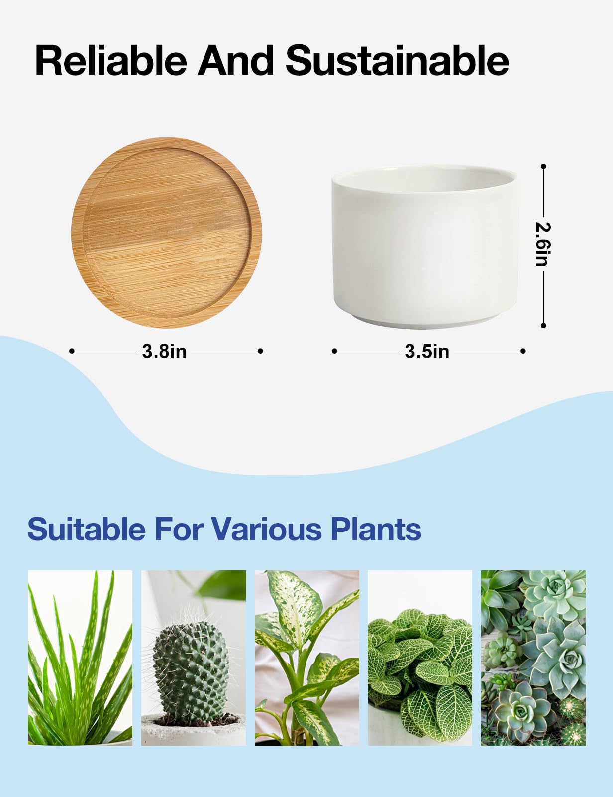 Cgvovgr Funny Life Would SUCC Without You Ceramic Succulent Planter Cactus Pots, Office Windowsill Decor Indoor, Succulent Pots for Women Plant Lovers, 3.5 inch (Plant Not Included)