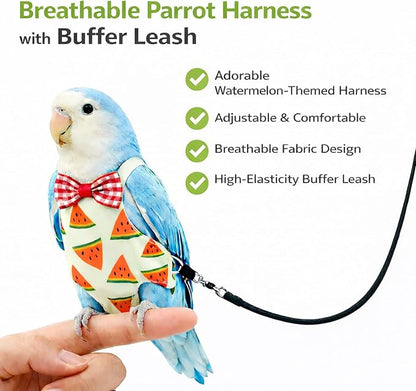 Budgerigar Lovebird Bird Diaper and Leash Set, Small Bird Diaper and Harness, Reusable Flight Suit for Small Parrots Young Cockatiels Conure/Adult Parakeet Lovebird (M)